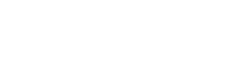 CMS Logo